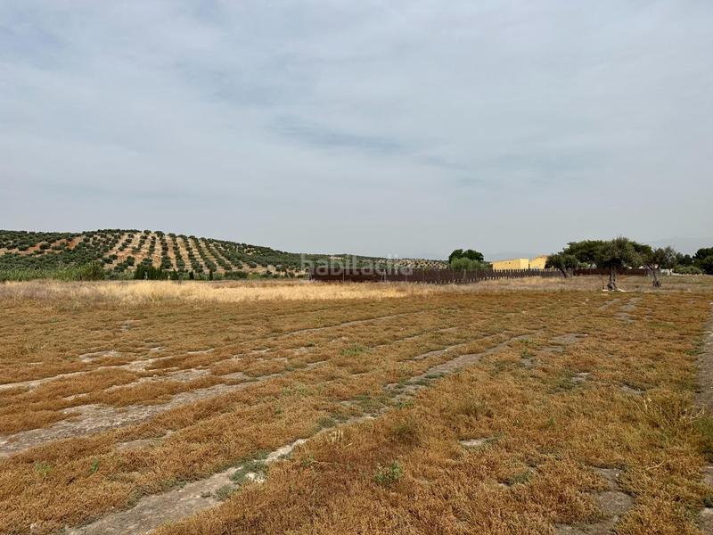 Foto b1e1c227-83ac-43a3-b94c-5032a4dbfdcd. Terrain résidentiel dans Chimeneas