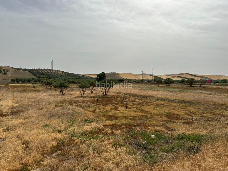 Foto cb9f7ab0-a1fe-45a6-8532-bfea1c46a448. Terrain résidentiel dans Chimeneas