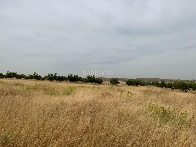 Foto d0bfd666-2020-40a5-b5fd-ec7529c0bd01. Terrain résidentiel dans Chimeneas