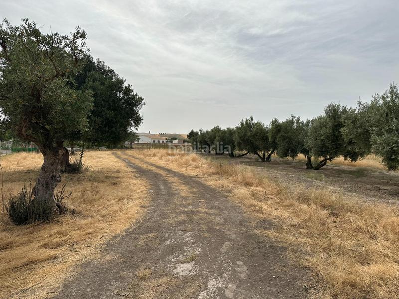 Foto d62dc4d9-4a65-42e4-922d-97b9d79d9d29. Terrain résidentiel dans Chimeneas