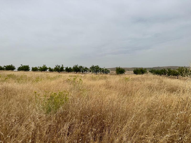 Foto e4cdd515-0b36-4eae-9fd8-dc63438aa741. Terrain résidentiel dans Chimeneas