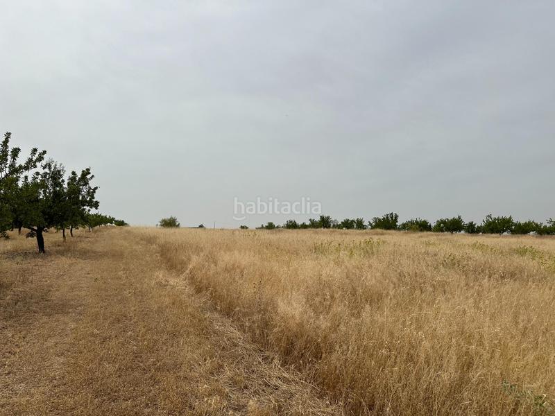 Foto e65b8d51-74c4-4741-92bf-c636a3d4a2ad. Terrain résidentiel dans Chimeneas