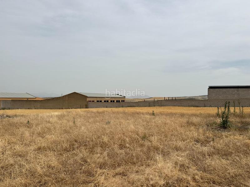 Foto e865470d-dc15-4ac2-b493-e06bdf5286ba. Terrain résidentiel dans Chimeneas