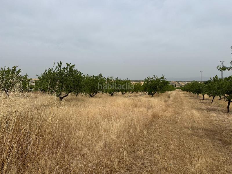 Foto f6a2e4d7-688d-4287-a289-40147367af07. Terrain résidentiel dans Chimeneas