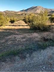 Finca rústica a Cogollos de la Vega. Terreno rústico en cogollos vega, con toma de luz y agua en la e