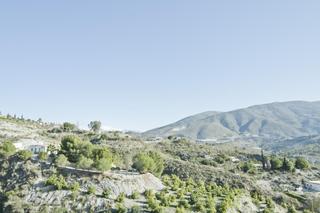 Finca rústica a Vélez de Benaudalla. Finca rustica con construcción