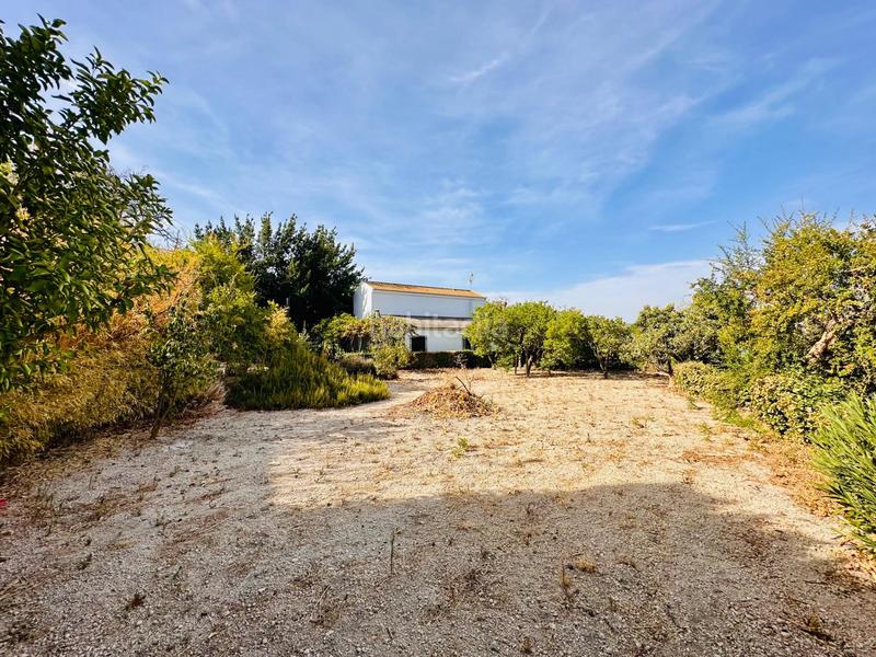 Foto ba8ad282-f648-4fec-b116-7f82bd8f4a86. Masía cortijo en Loja