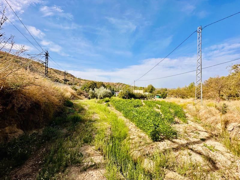 Foto c9eae905-581c-4ee2-bb39-72e2557d052e. Masía cortijo en Loja