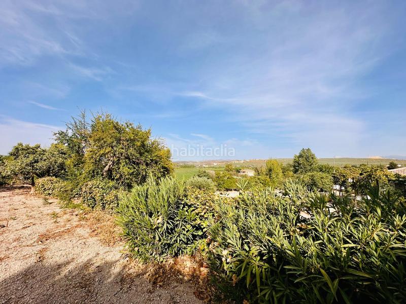 Foto eeac7fee-9b3d-4a4a-adfd-888fad180b32. Masía cortijo en Loja