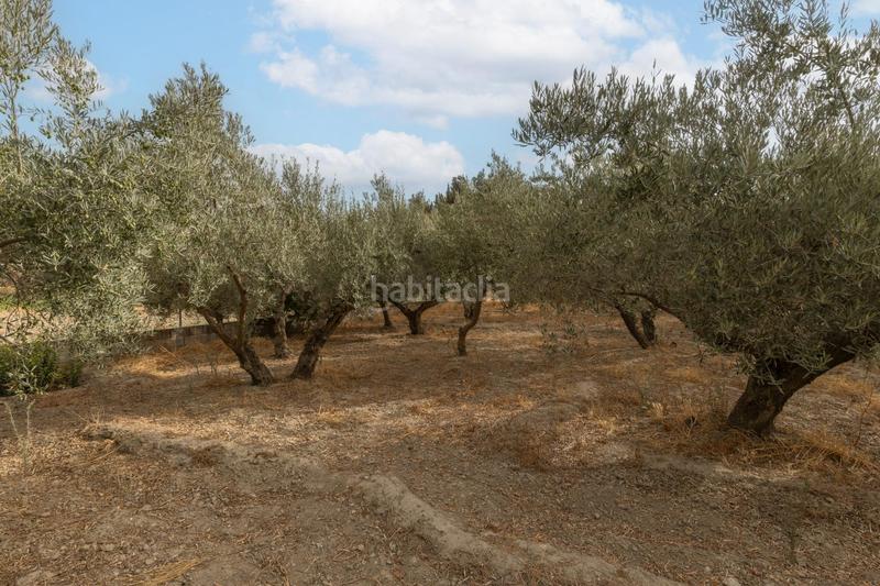 Foto 26949760-4217-486c-acfe-2fe0982a8894. Masia amb aparcament piscina a Polideportivo Alhendín