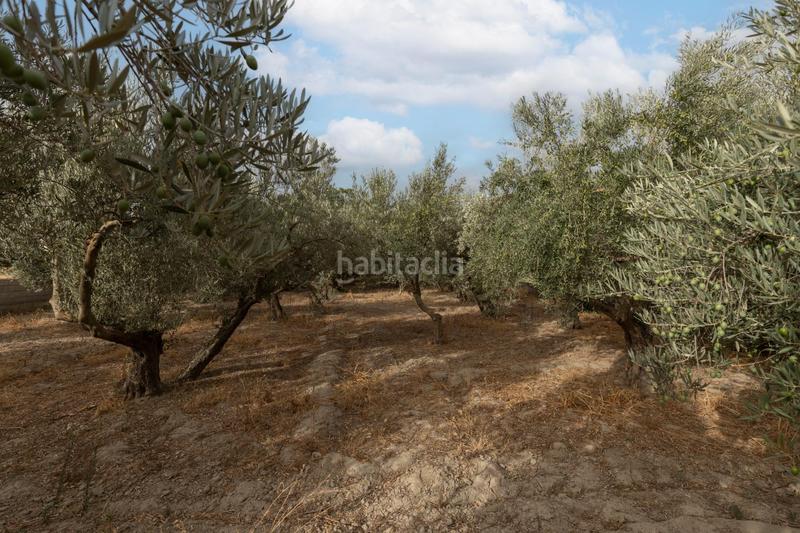 Foto 318dfe82-86d8-4508-a24e-d6faaffbca23. Masia amb aparcament piscina a Polideportivo Alhendín