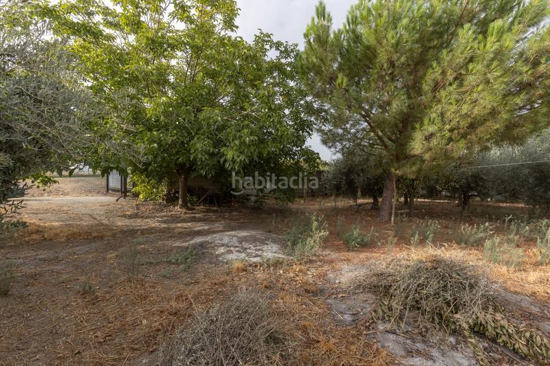 Foto 617bb100-7afa-4123-b129-255bf6c4c1f7. Masia amb aparcament piscina a Polideportivo Alhendín