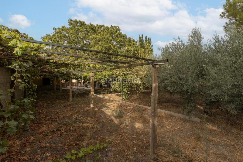 Foto d9a62a1d-705b-420f-bf58-2e022b7b7dcc. Masia amb aparcament piscina a Polideportivo Alhendín