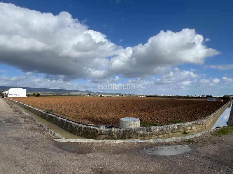 Foto b9d1043e-1729-44fd-8819-085a5cf69e84. Finca rústica a calle madreselvas 21 a Andújar