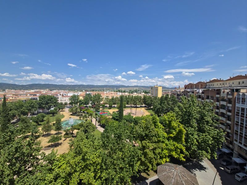 Foto f1ed9728-72df-4c6c-9d7e-ec1bf5e3140c. Àtic a Andújar
