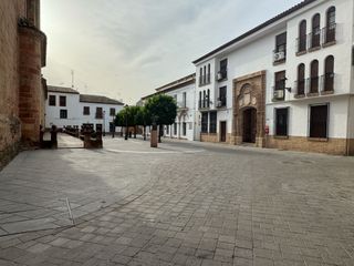 Flat  Plaza santa maría. Santa maria