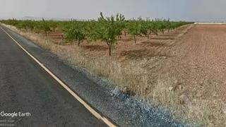 Finca rústica a Guadix. Finca llana con almendros