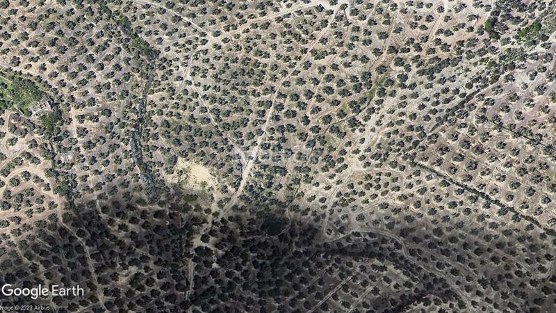 Foto 31405cb0-601a-4565-9a5d-100808bdd2a5. Landgut in San Ildefonso - Catedral Jaén