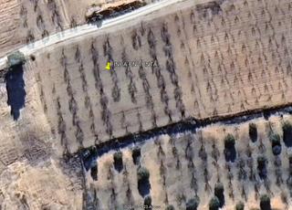 Finca rústica a Utiel. Parcela de almendros y olivos