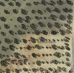 Propriété à Albaida del Aljarafe. Olivar para recreo