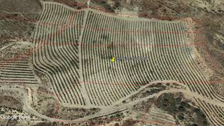 Propriété à San Isidro - Campohermoso. Finca para invernaderos con proyecto, frutales