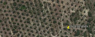Finca rústica a Archidona. Olivar secano con posibilidad de vivienda y pozo