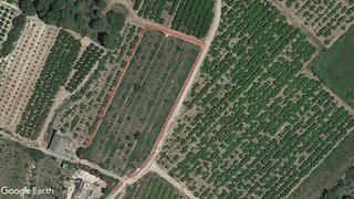 Finca rústica a Segorbe. Parcela de regadío, opción de vivienda