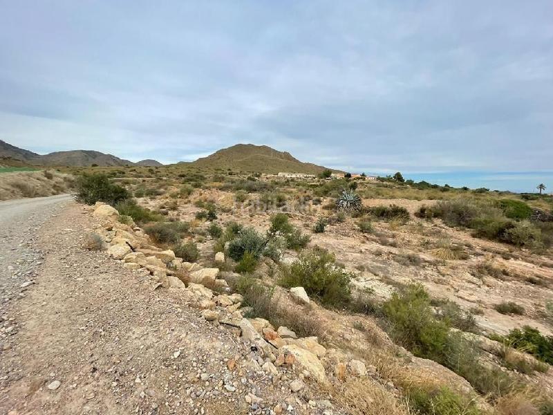 Foto 91335756-5683-4b42-8387-bef81de16ac7. Rural plot in Cuevas del Almanzora pueblo Cuevas del Almanzora