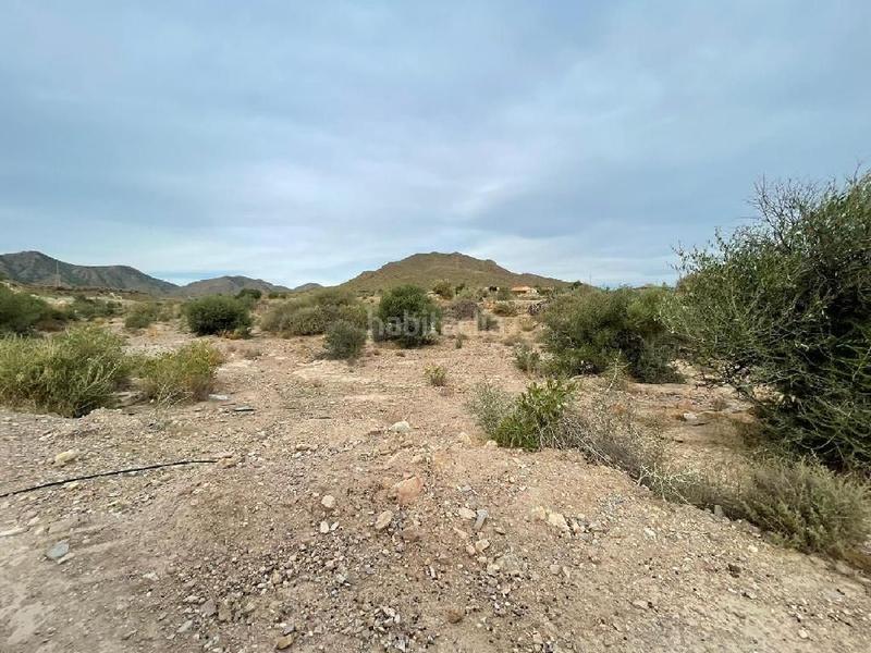 Foto a46ac7ba-9b7c-4a33-bdd3-a2f2bb9eb0b8. Rural plot in Cuevas del Almanzora pueblo Cuevas del Almanzora
