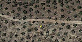 Rural plot in Priego de Córdoba. Finca olivar secano y para recreo