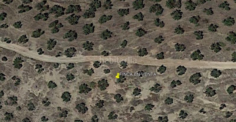 Foto d63026cd-9191-48dd-a7a4-d56c4d14b354. Finca rústica a Priego de Córdoba