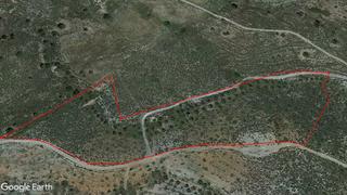 Finca rústica a San Mateo. Finca de olivos y almendros abandonados para uso agrícola, ganad