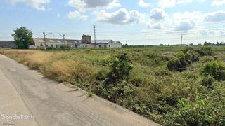 Finca rústica a Algemesí. Huerta de regadío, campa, animales junto al pueblo