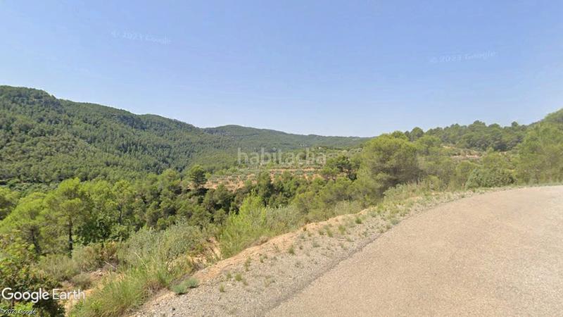 Foto 66d1dace-2c79-4e1a-b49d-78e8186abafc. Fondo rustico in Quesa