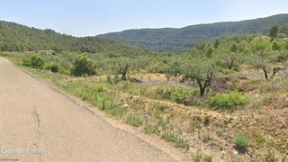 Finca rústica a Quesa. Finca de olivos con posibilidad de edificar