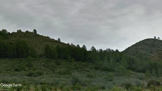 Finca rústica a Carcaixent. Finca regadio opción almacén de aperos