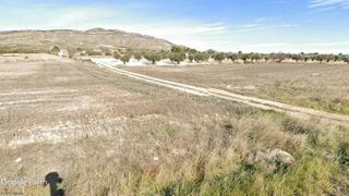 Finca rústica en Caudete. Viñedo con riego, opción de vivienda con piscina