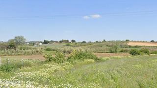 Propriété à Bollullos Par del Condado. Finca rustica con viñedo
