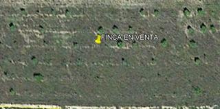 Propriété à Casinos. Parcela agrícola regadío recreo