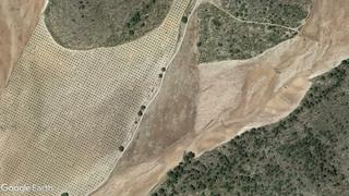 Finca rústica en Tobarra. Excelente tierra para cereales, almendros, viñas