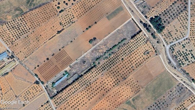 Foto 029d1e13-4204-4e6a-9d97-780ceecf7f84. Finca rústica parcela con naves agrícolas y ganaderas, en Benlloc