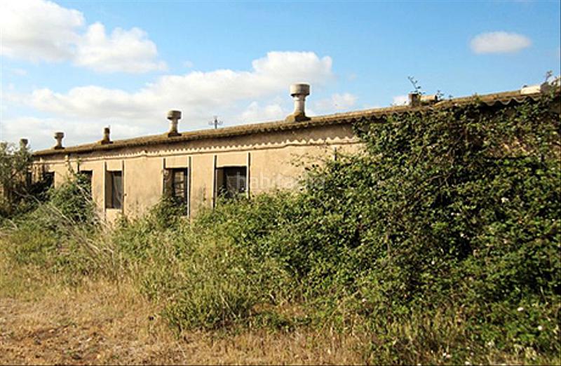 Foto 1a8c074f-0382-47fd-9503-1890da775d59. Finca rústica parcela con naves agrícolas y ganaderas, en Benlloch