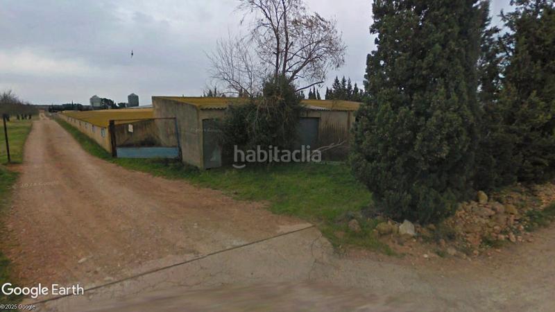 Foto fcd2cb1b-22bb-4152-83dd-4561de9e034b. Finca rústica parcela con naves agrícolas y ganaderas, en Benlloch