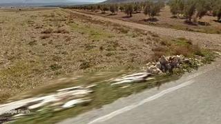 Finca rústica a Pedro Martínez. Tierra de secano a pie de carretera