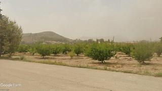 Finca rústica a Caravaca de la Cruz. Finca regadío posibilidad de vivienda