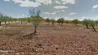 Finca rústica a Nuevo Hospital. Terreno para instalación de placas solares, actividad agraria