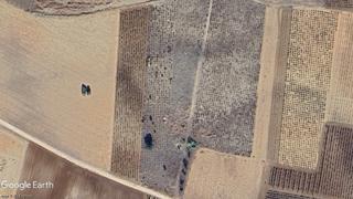 Finca rústica a Socuéllamos. Viñedo sin cultivar, oportunidad
