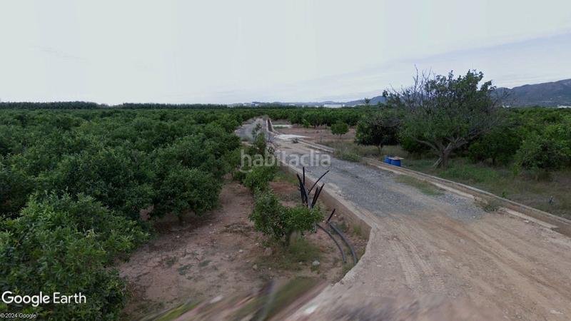 Foto 09858cc0-23a6-44b3-85bb-4c89469fe637. Finca rústica a Nules