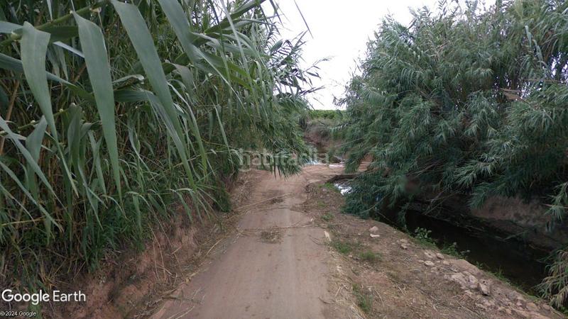 Foto 732105f6-847c-4fa2-bfaf-376f2ff0fbca. Finca rústica a Nules