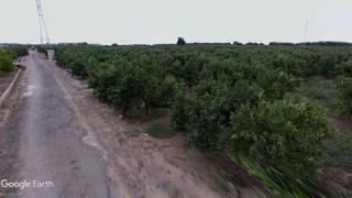 Landgut in Nules. Huerta de regadío, opción caseta de aperos